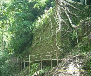 Falan Lost City Tolima1 Source commondatastorage googleapis com